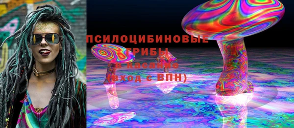 амф Алексин