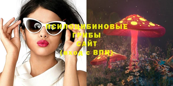 амф Алексин