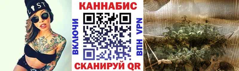 МАРИХУАНА тримм Алагир